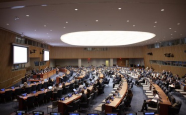 UNFF21 Flags Progress, but Forest Financing and Deforestation Gaps Persist