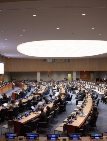 UNFF21 Flags Progress, but Forest Financing and Deforestation Gaps Persist
