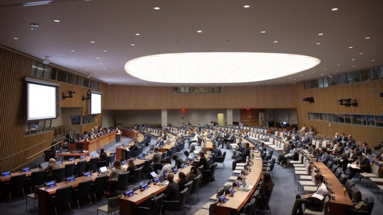 UNFF21 Flags Progress, but Forest Financing and Deforestation Gaps Persist