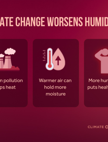 Humid Heat That Kills: How Climate Change Is Making Every Breath a Risk