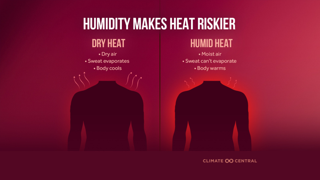 Humid Heat