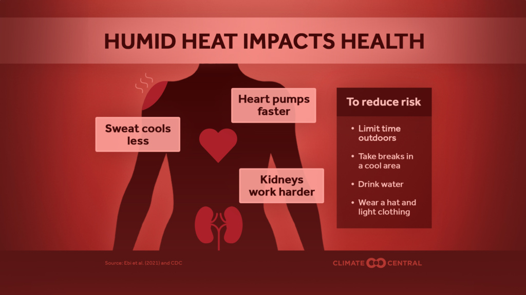 Humid Heat