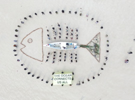 Greenpeace Africa Calls for Stronger Ocean Protection at UN Conference