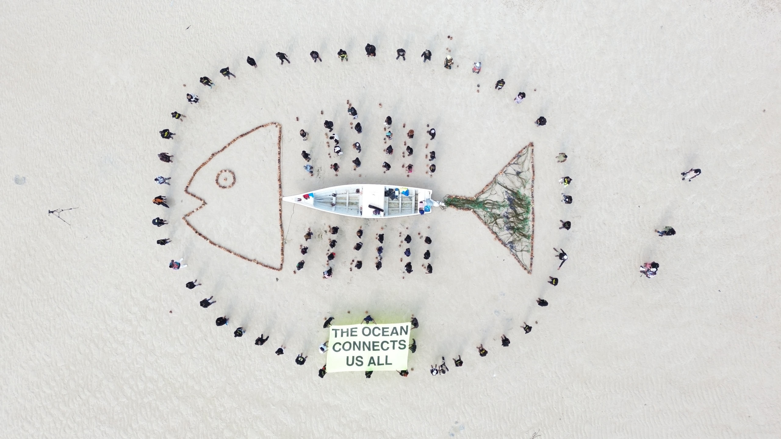 Greenpeace Africa