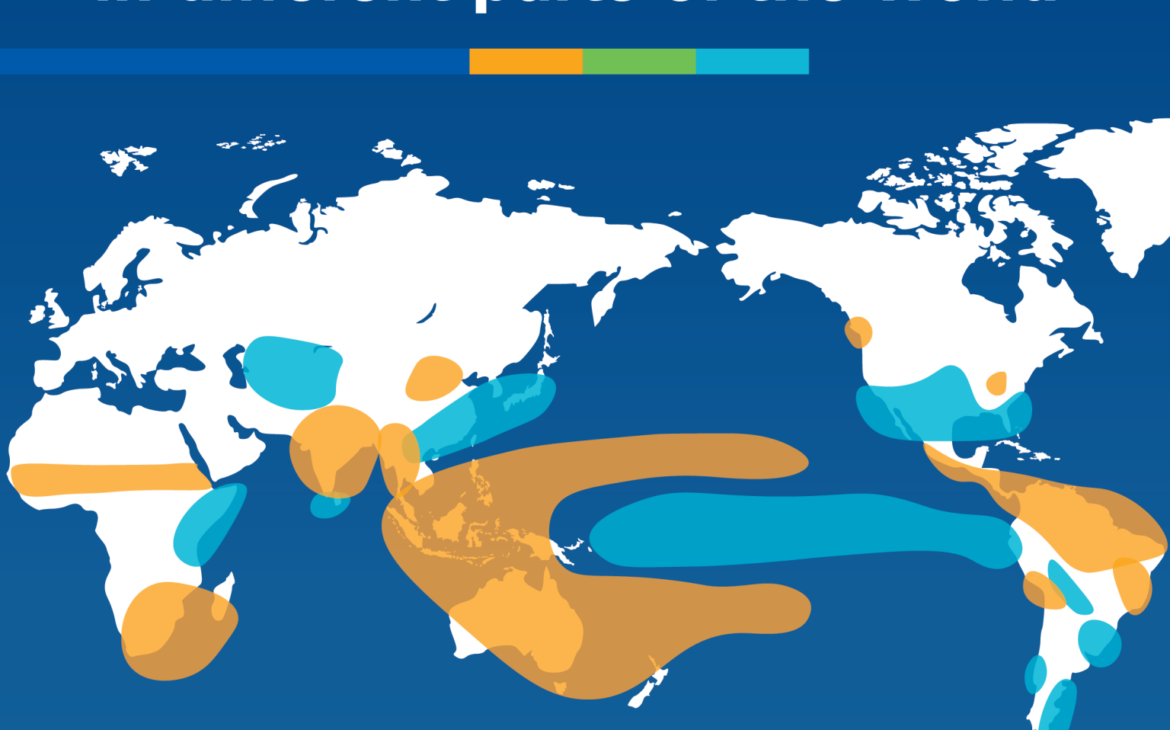 El Niño Returns: Why the World Is Watching the Pacific Again