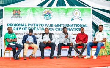 Climate-Smart Potatoes: How Innovation Could Help Secure Kenya’s Food Future