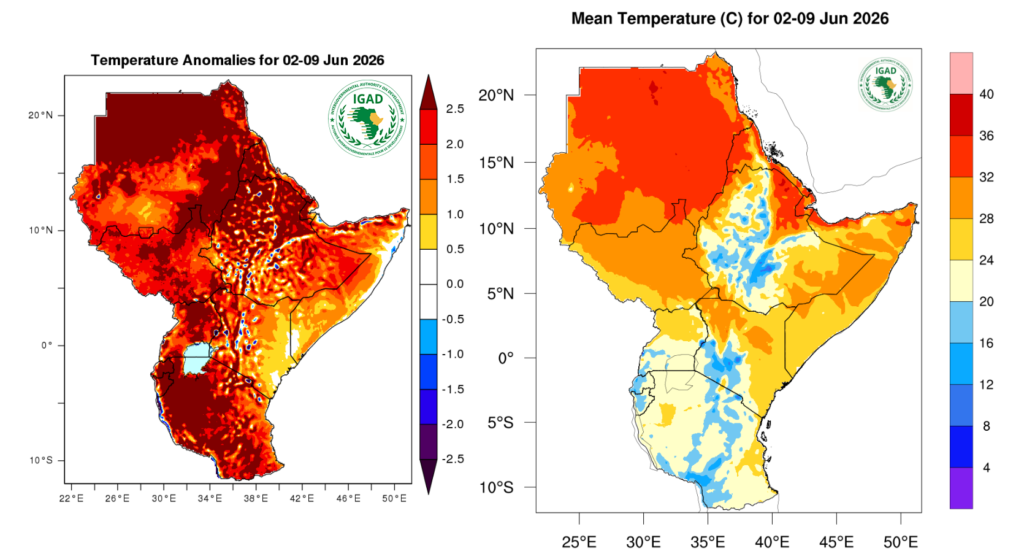 Below-normal