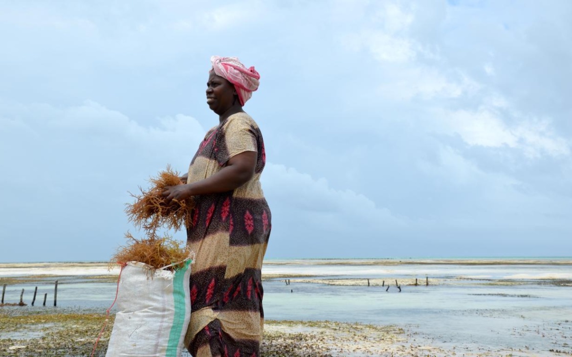 DialogueNEXT Africa: WorldFish Charts a Sustainable Future for Aquatic Food Systems