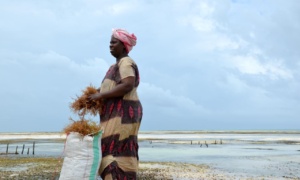 11 seaweed female producer in Zanzibar-nov23-AP_0
