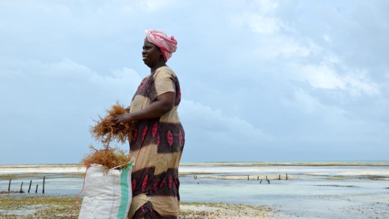 DialogueNEXT Africa: WorldFish Charts a Sustainable Future for Aquatic Food Systems