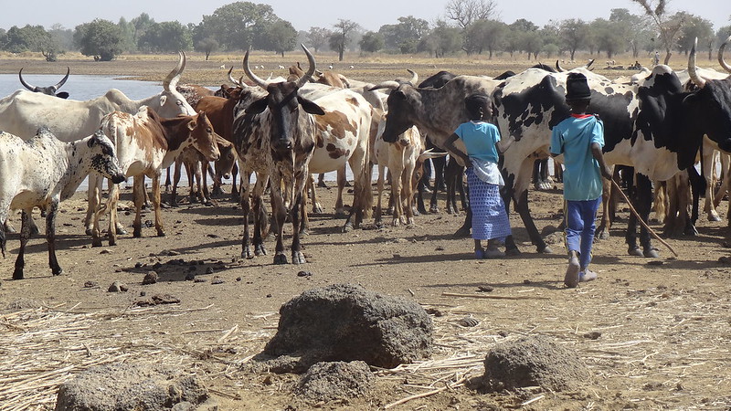 Horn of Africa