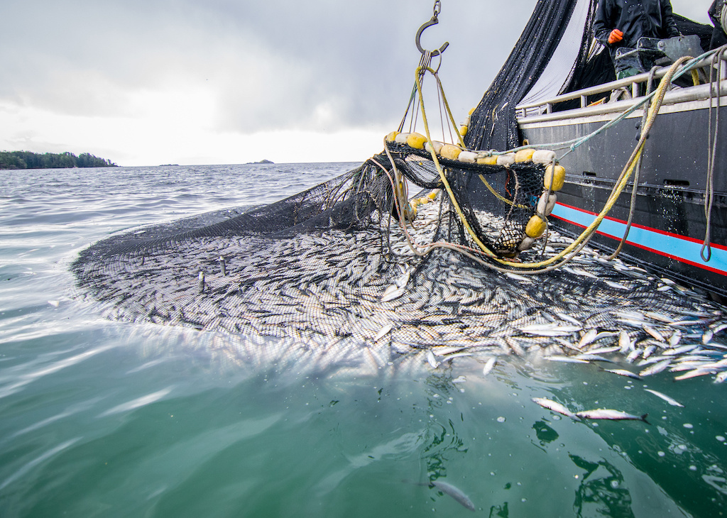 Coastal Communities Call for End to Bottom Trawling for Fish in Kenya