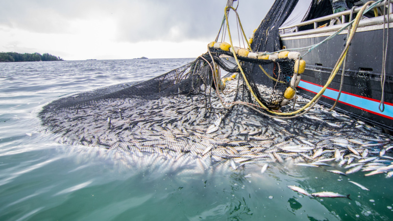 Coastal Communities Call for End to Bottom Trawling for Fish in Kenya