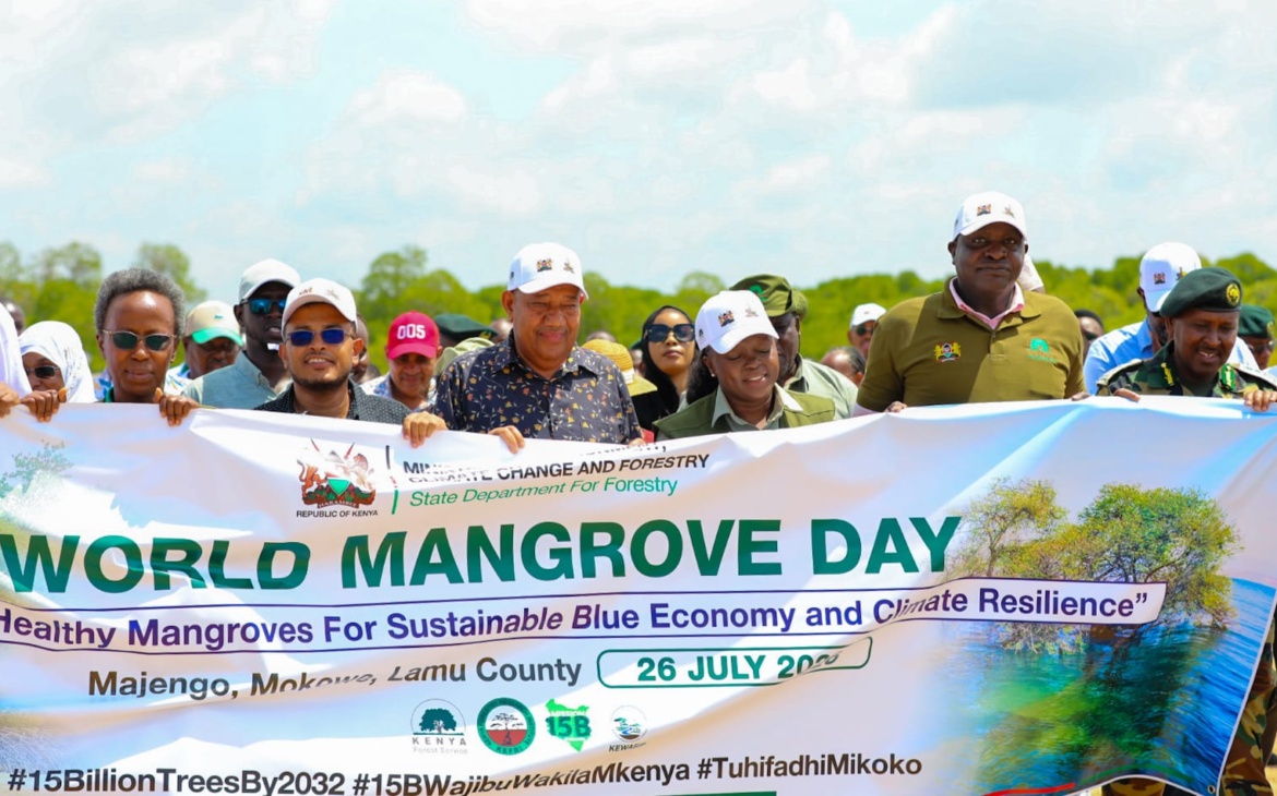 Nature’s Seawall: Inside Kenya’s Mangroves Restoration Drive