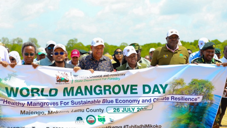 Nature’s Seawall: Inside Kenya’s Mangroves Restoration Drive