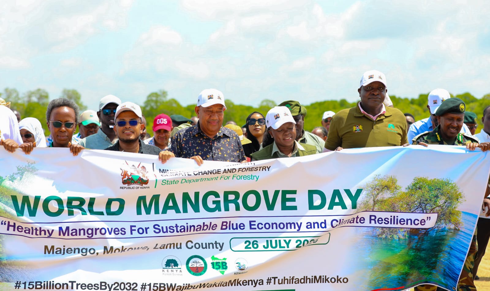 mangroves