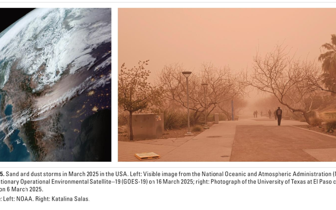 WMO warns sand and dust storms remain a growing global threat despite stable dust levels in 2025