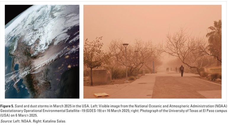 WMO warns sand and dust storms remain a growing global threat