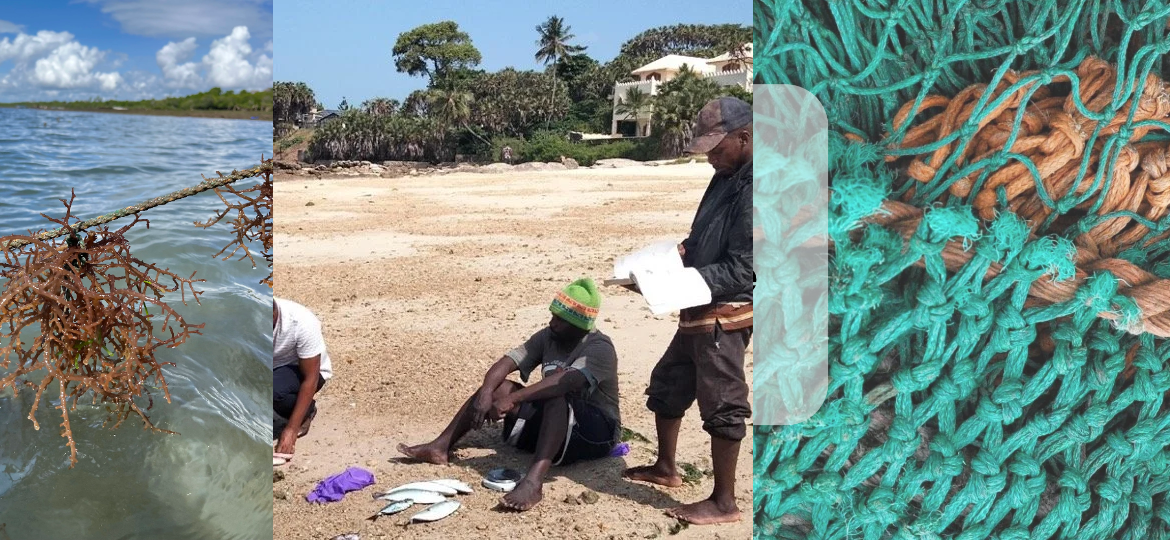 The Rope That Was Built to Disappear: Inside Africa’s First Biodegradable Fishing Gear Trials