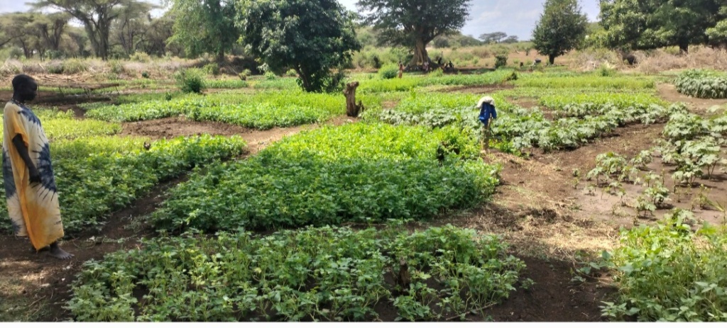 farming