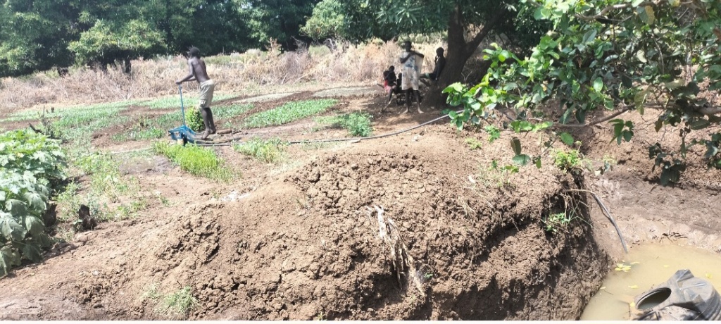 farming
