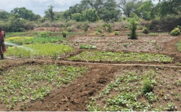 Story of Change: Climate Information is Transforming Farming in Kapoeta, South Sudan