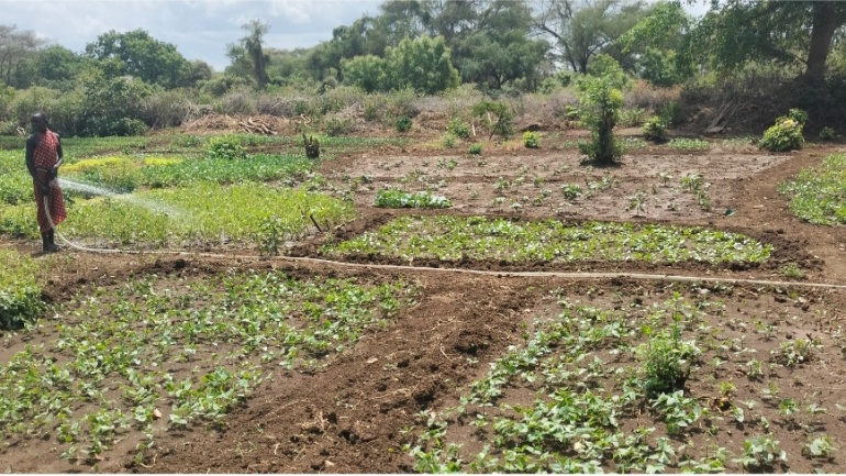 Story of Change: Climate Information is Transforming Farming in Kapoeta, South Sudan