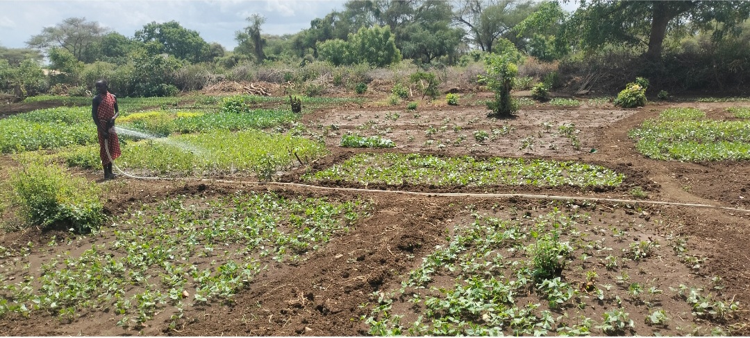 farming