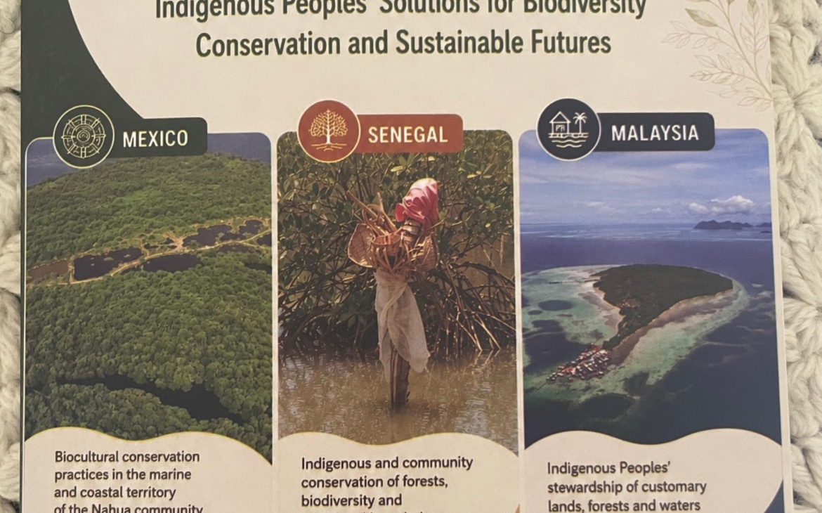 Indigenous Peoples & Local Communities Chart Their Own Course on Marine Conservation