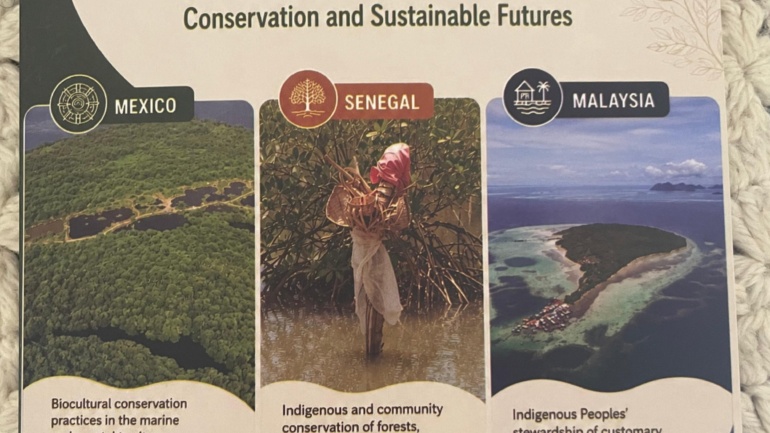 Indigenous Peoples & Local Communities Chart Their Own Course on Marine Conservation