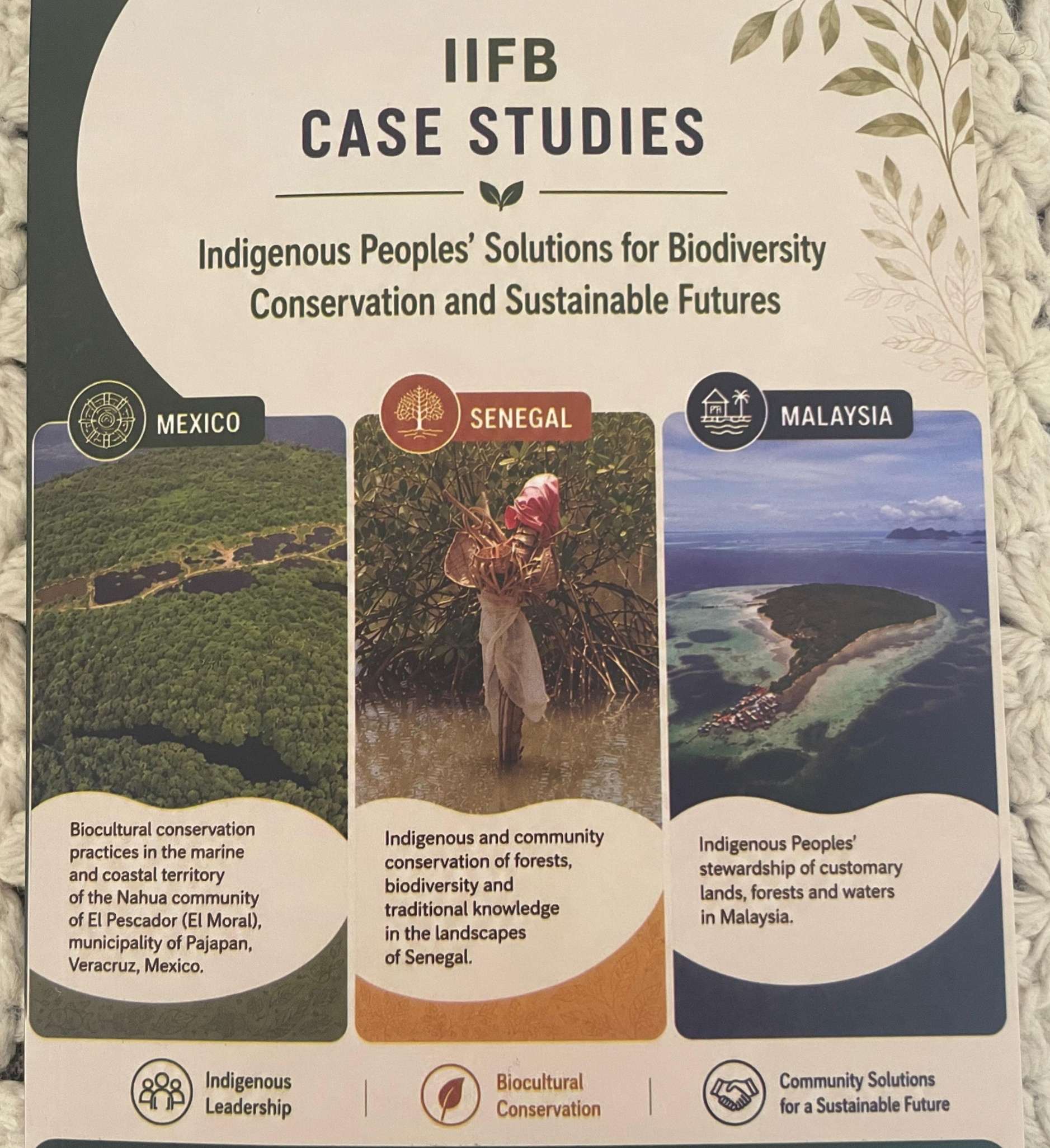 Indigenous Peoples