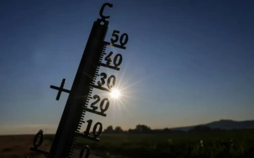 The Ocean Is Running a Fever, and the World Is Feeling the Heat