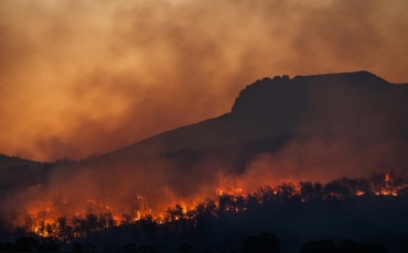 Can Climate Change Be Linked to Individual Disasters? Scientists Say Yes.