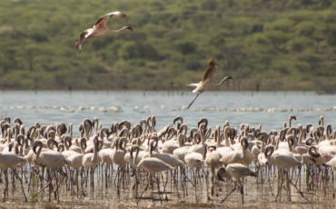 Lake Baringo and Lake Bogoria Close In, Communities Lose Homes