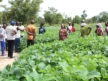 A $1M Bet on 25 million Farmers: Inside East Africa’s New Climate Resilience Push