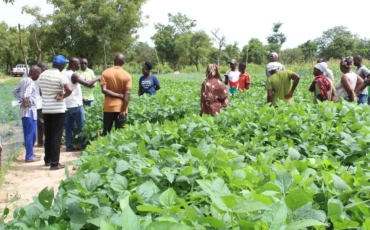 A $1M Bet on 25 million Farmers: Inside East Africa’s New Climate Resilience Push