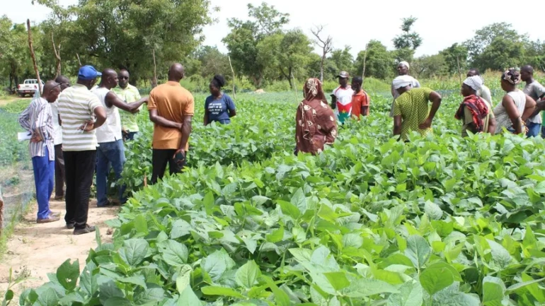 A $1M Bet on 25 million Farmers: Inside East Africa’s New Climate Resilience Push