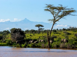 Kenya Filed Its Climate Plan on Time; What Happens Next Is the Real Test