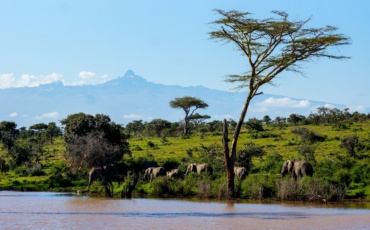 Kenya Filed Its Climate Plan on Time; What Happens Next Is the Real Test