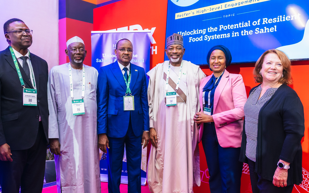 Closing the Gap: Why Investors Are Looking Twice at the Sahel
