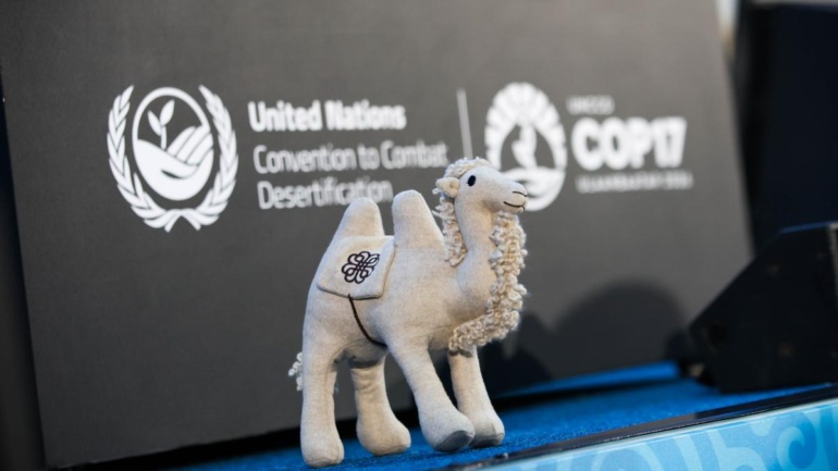 The Pastoralists Left Out of Africa’s Biodiversity Finance Conversation