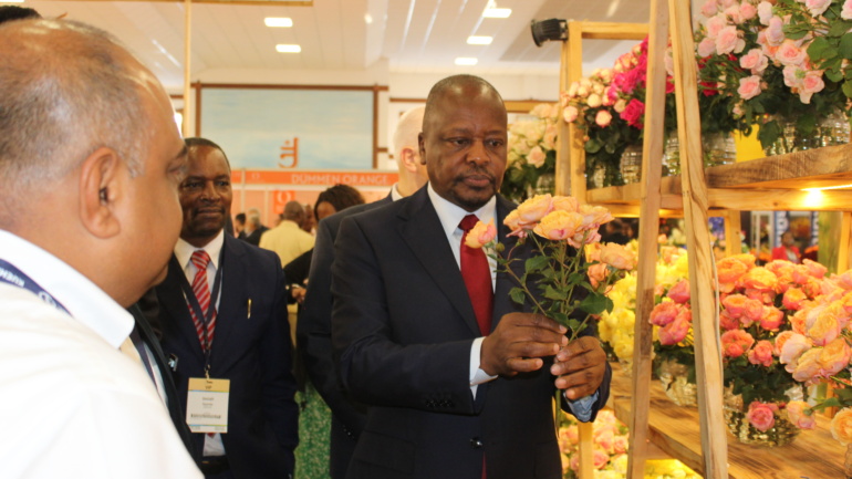 Beyond Production: The New Rules Shaping Kenya’s Flower Industry