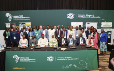 Africa Turns to Homegrown Solutions to Close Livestock Productivity Gap