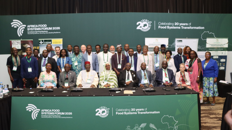 Africa Turns to Homegrown Solutions to Close Livestock Productivity Gap