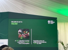 Africa Has the Technology to Keep Its Vegetables Cold, Hard Part Is Scaling It