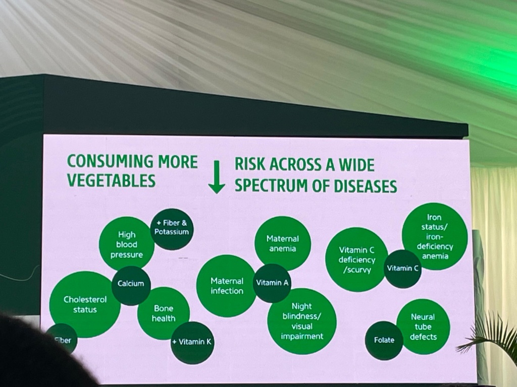 Africa Food Systems Forum