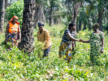 “We Are Not Seeking Handouts”: Africa’s Farmers Demand a Seat at the Table as $100 Billion Food Pledge Moves to Implementation.