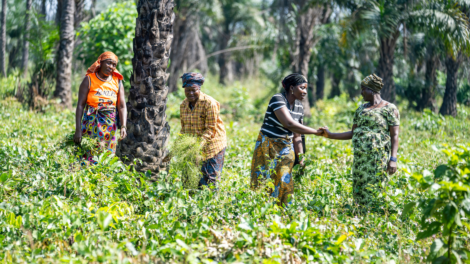 farmers