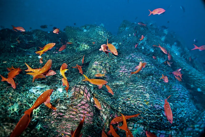 Seamounts Under Threat: Can Governments Turn Ocean Promises into Protection?