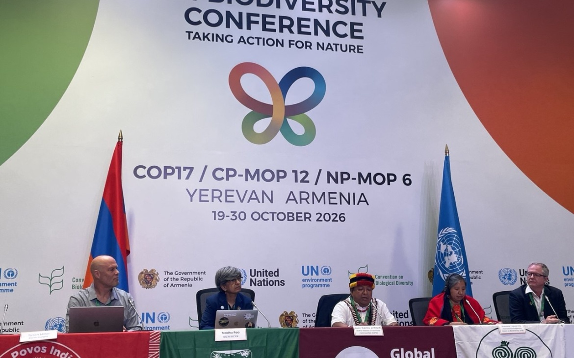 One in Five Tropical Biodiversity Sites Overlapped by Mining Concessions, COP17 Report Finds